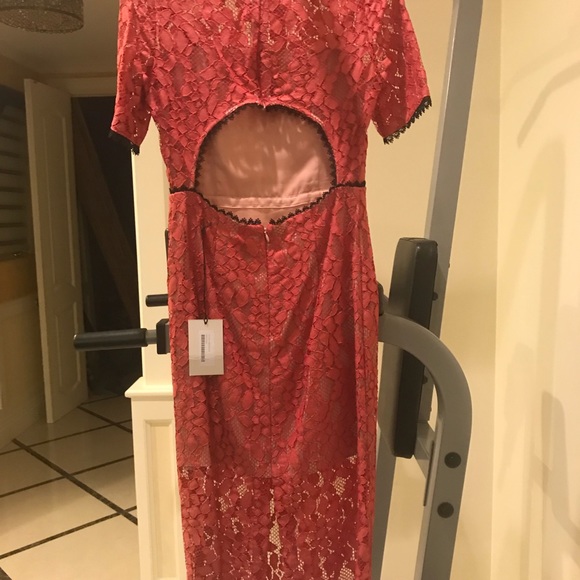 Alexis coral lace dress midi length fitted - Picture 2 of 5